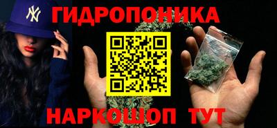 кокс Гай