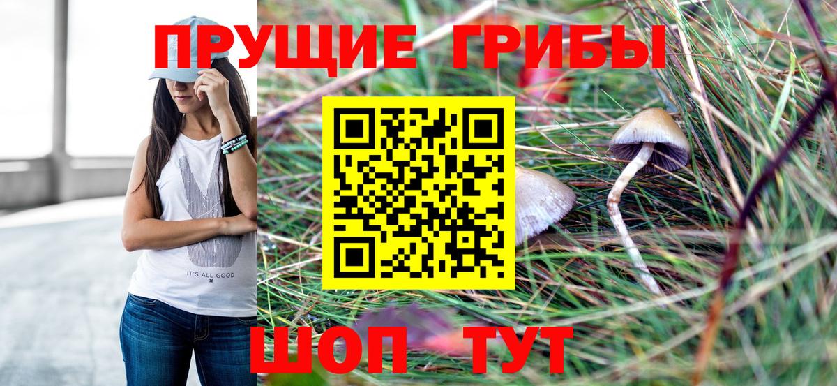 купить закладку  Псилоцибиновые грибы GOLDEN TEACHER  Вход с VPN  Губаха 