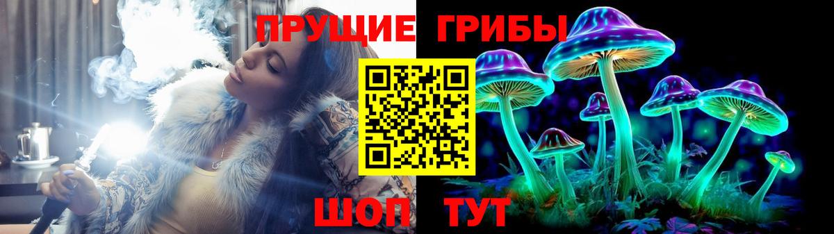Галлюциногенные грибы Cubensis Губаха