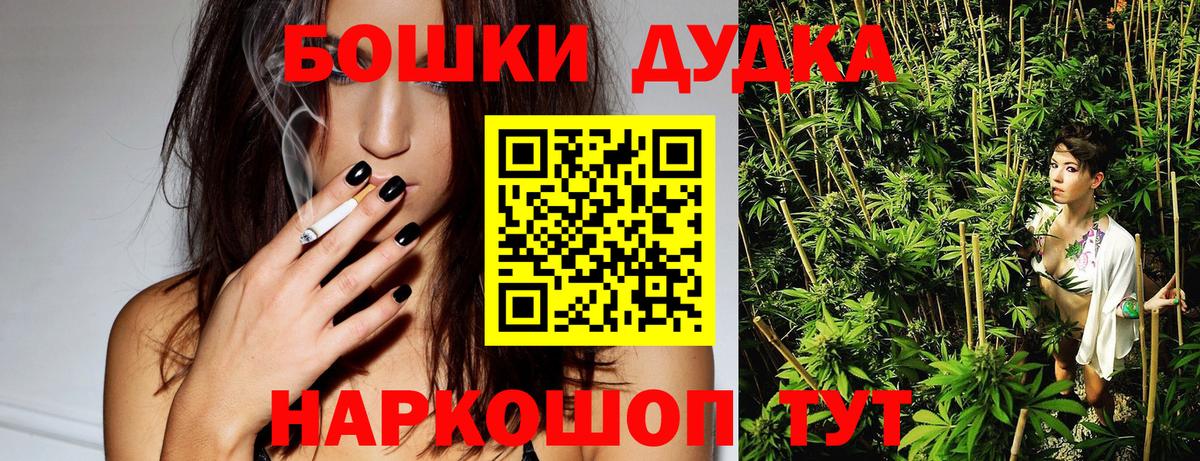 Марихуана сатива Губаха
